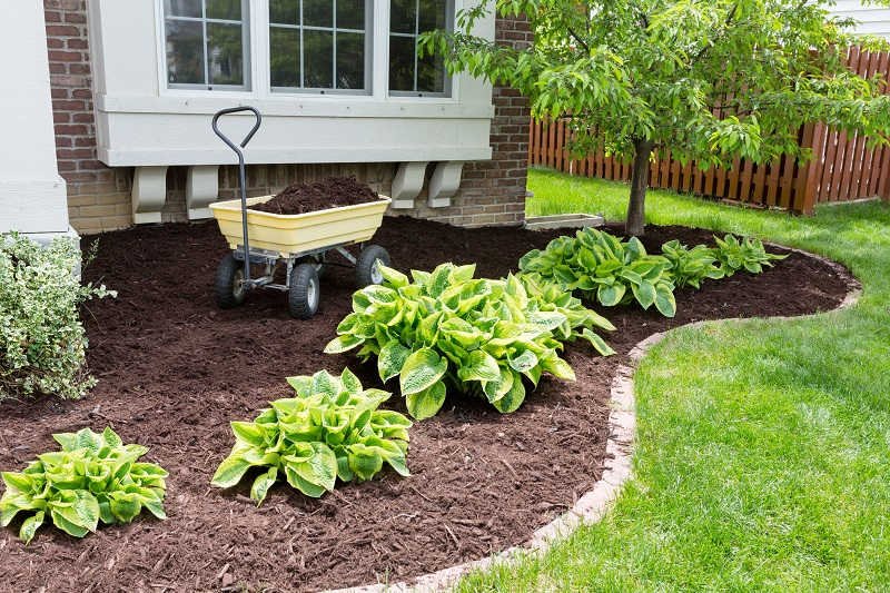 Deck Mulching