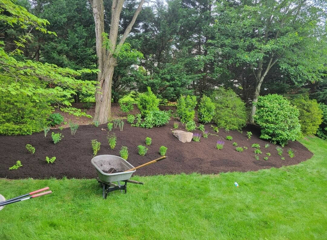 Deck Mulching by Venado Landscaping