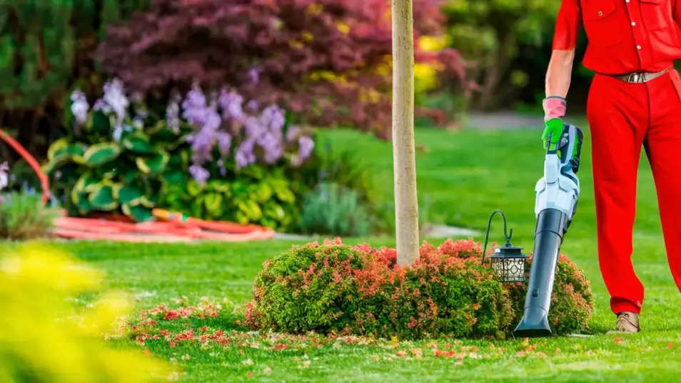 Landscape Maintenance & Installation by Venado Landscaping